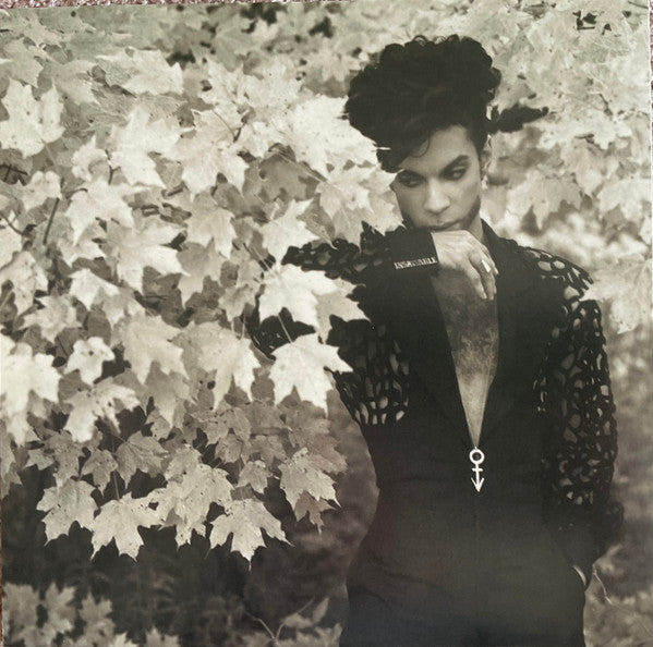 Prince – The Hits 1 (2xLP) LP vinyl record, image 8 of 10