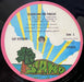 Cat Stevens – Teaser And The Firecat LP vinyl record, image 5 of 9