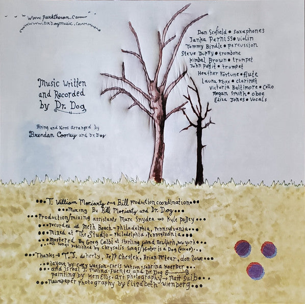 Dr. Dog – Fate LP vinyl record, image 3 of 5