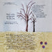 Dr. Dog – Fate LP vinyl record, image 3 of 5