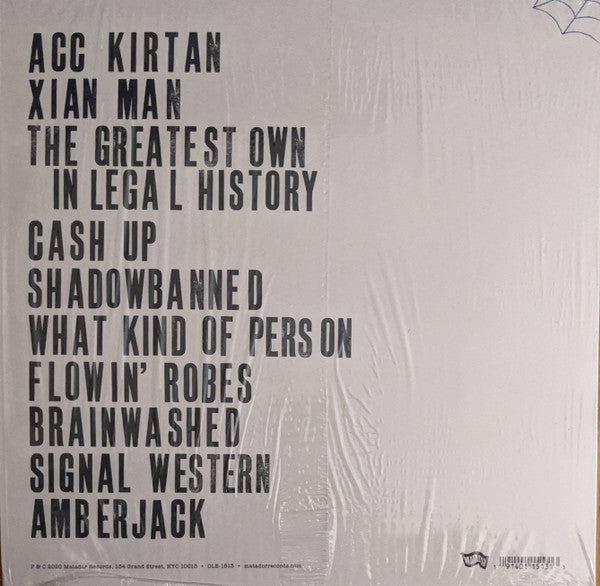 Stephen Malkmus – Traditional Techniques LP vinyl record, image 3 of 8