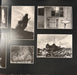 Pink Floyd – Animals LP vinyl record, image 4 of 10