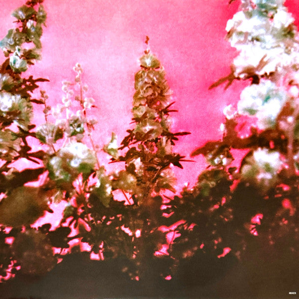 Lana Del Rey – Did You Know That There's A Tunnel Under Ocean Blvd (2xLP) LP vinyl record, image 9 of 10