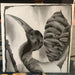 Firearms – We Are... 10" vinyl record, image 1 of 2