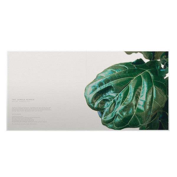 The Jungle Giants – Quiet Ferocity LP vinyl record, image 3 of 10