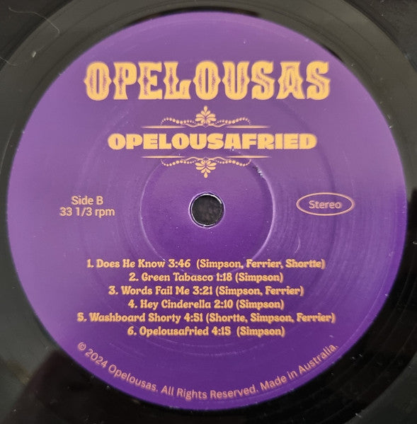 Opelousas – Opelousafried LP vinyl record, image 4 of 4