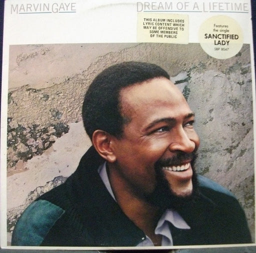 Marvin Gaye – Dream Of A Lifetime LP vinyl record, image 1 of 6