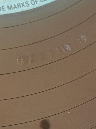 Roaring Boys – House Of Stone 12" vinyl record, image 6 of 6