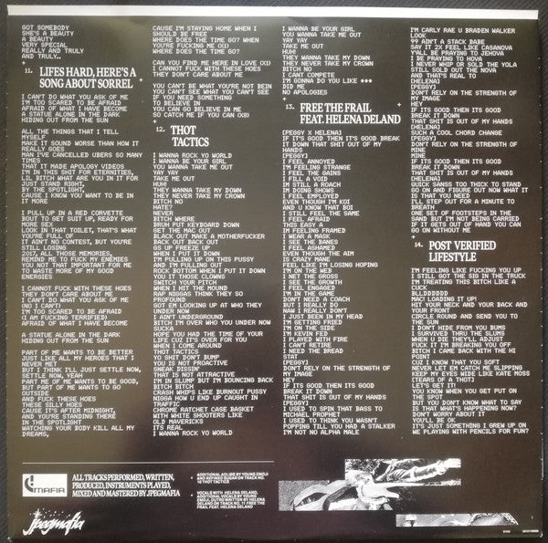 JPEGMAFIA – All My Heroes Are Cornballs (2xLP) LP vinyl record, image 8 of 10