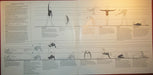 Various – Jane Fonda's Workout Record (2xLP) LP vinyl record, image 2 of 7
