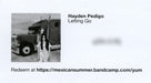 Hayden Pedigo – Letting Go LP vinyl record, image 7 of 7