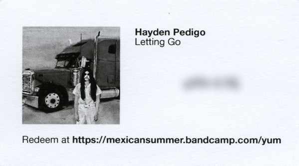 Hayden Pedigo – Letting Go LP vinyl record, image 7 of 7