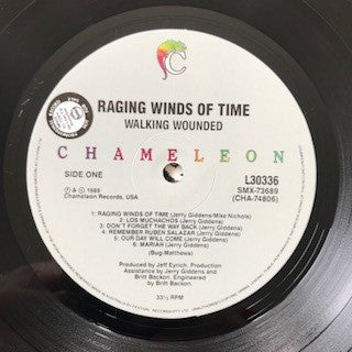 Walking Wounded – Raging Winds Of Time LP vinyl record, image 3 of 4