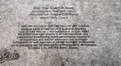 Roaring Boys – House Of Stone 12" vinyl record, image 3 of 6