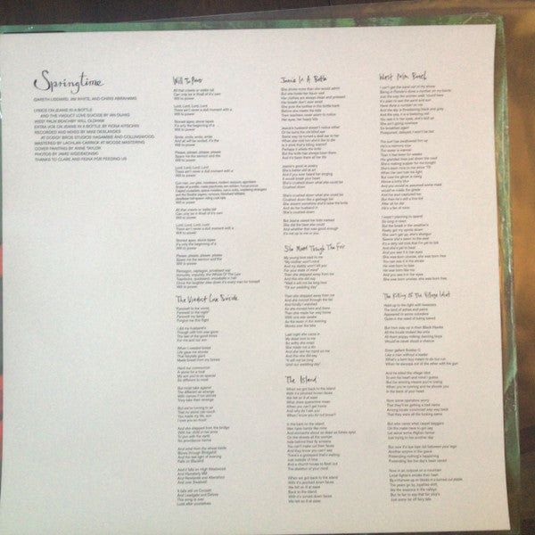 Springtime – Springtime LP vinyl record, image 7 of 9