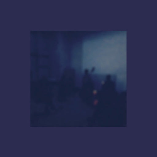Various – In The Echo: Field Recordings From Earlsfort Terrace LP vinyl record