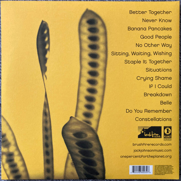 In Between Dreams – Jack Johnson for Sale | Dutch Vinyl
