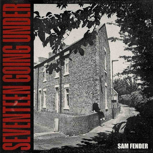 Sam Fender – Seventeen Going Under LP vinyl record