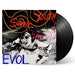 Sonic Youth – EVOL LP vinyl record, image 2 of 3