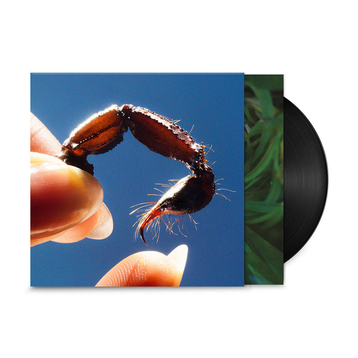 Squid – Cowards LP vinyl record, image 3 of 3