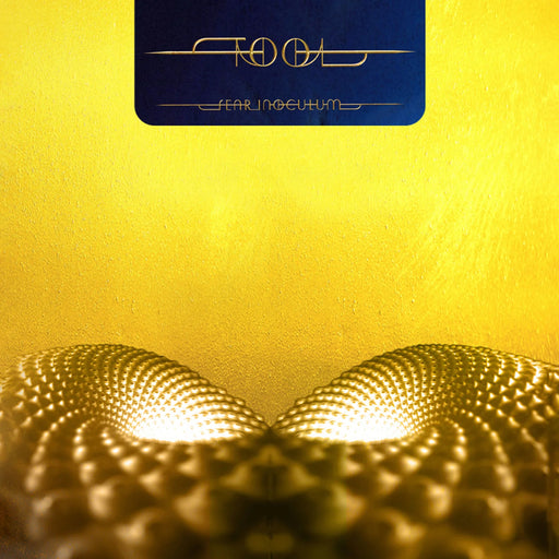 Tool – Fear Inoculum (3xLP) LP vinyl record, image 1 of 2