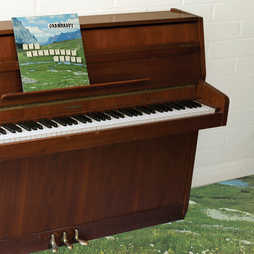 Grandaddy – The Sophtware Slump .​.​.​.​. On A Wooden Piano LP vinyl record