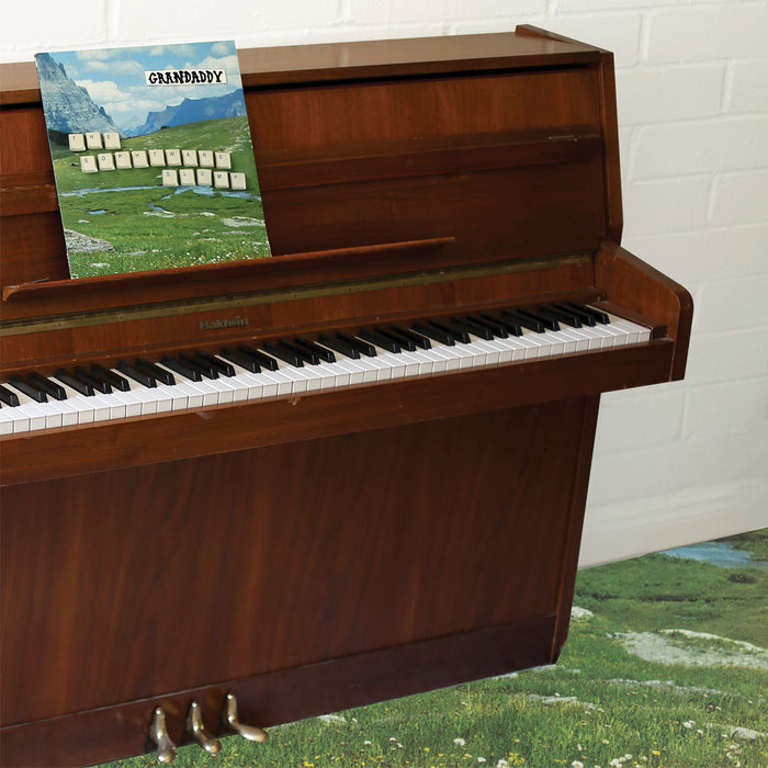 Grandaddy – The Sophtware Slump .​.​.​.​. On A Wooden Piano LP vinyl record