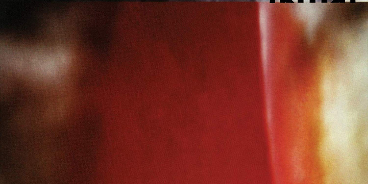 Nine Inch Nails – The Fragile (3xLP) for Sale | Dutch Vinyl