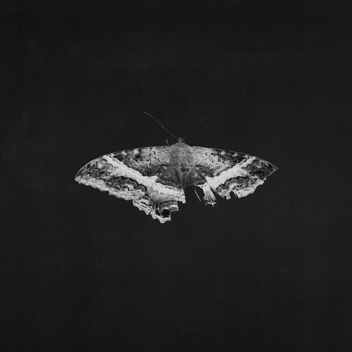 Kendrick Lamar – To Pimp A Butterfly (2xLP, 10th Anniversary, Alternate Cover) - Image 1