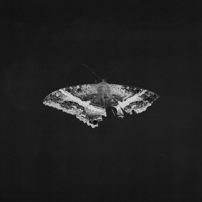 Kendrick Lamar – To Pimp A Butterfly (2xLP, 10th Anniversary, Alternate Cover) - Image 1