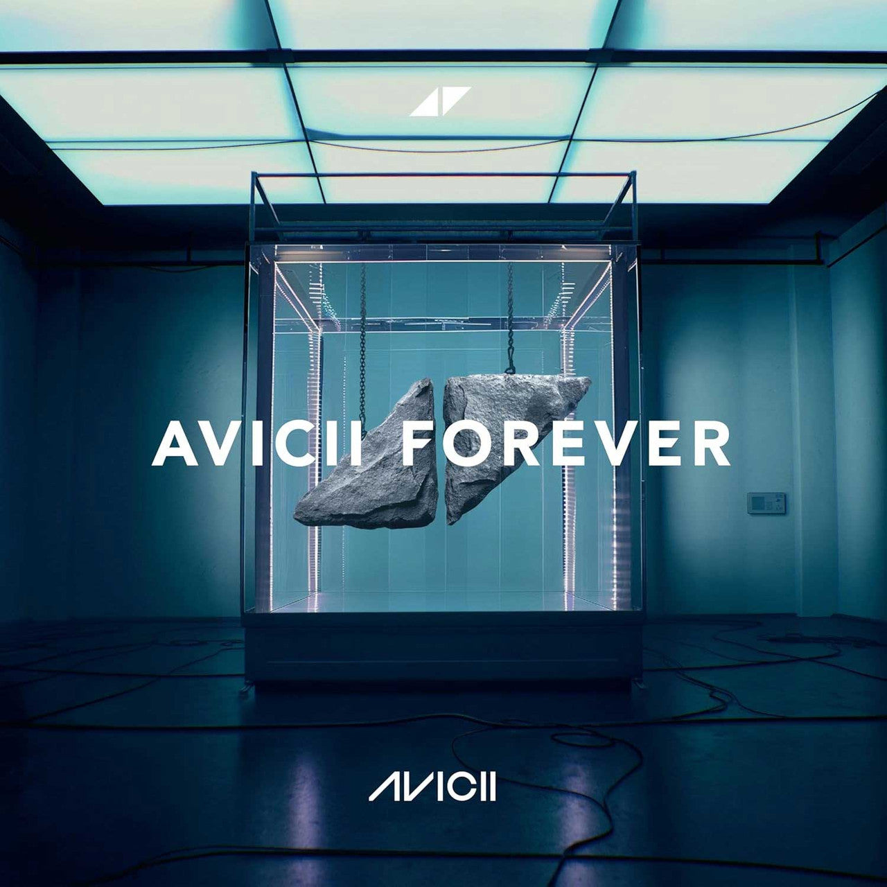 Avicii Vinyl Records