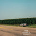 Mount Kimbie – The Sunset Violent LP vinyl record, image 1 of 3