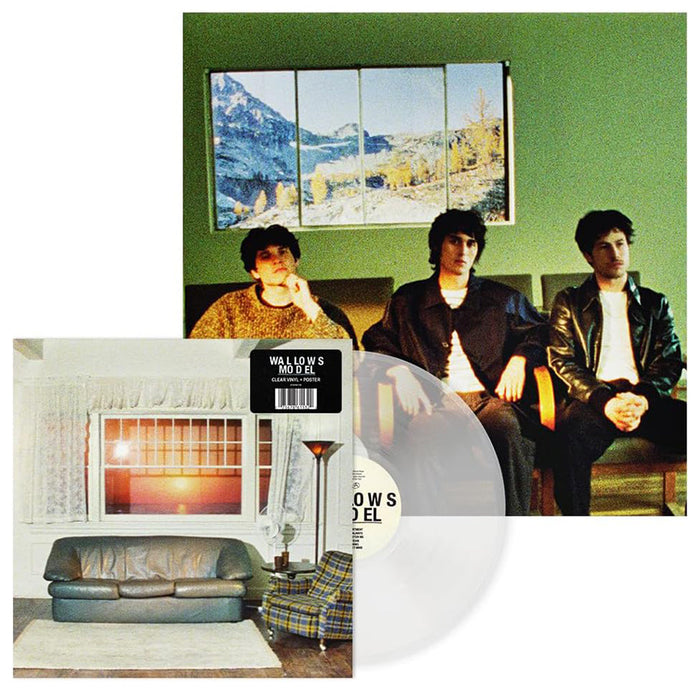 Wallows – Model (Clear Vinyl) LP vinyl record, image 4 of 4