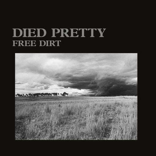 Died Pretty – Free Dirt - Image 1