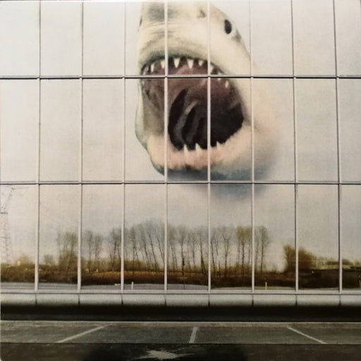 Black Mountain – Wilderness Heart (LP, Vinyl Record Album)