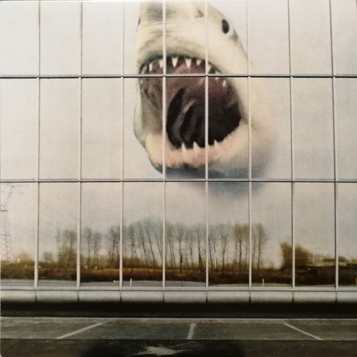 Black Mountain – Wilderness Heart (LP, Vinyl Record Album)