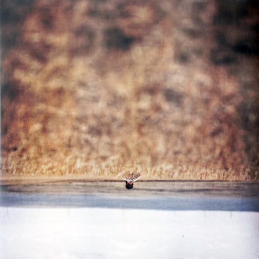 Jim O'Rourke – Hands That Bind (Original Motion Picture Soundtrack) (LP, Vinyl Record Album)