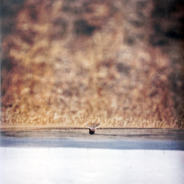 Jim O'Rourke – Hands That Bind (Original Motion Picture Soundtrack) (LP, Vinyl Record Album)