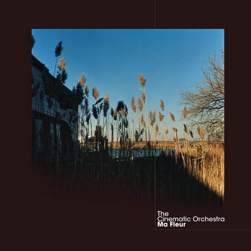 The Cinematic Orchestra – Ma Fleur (2xLP) LP vinyl record, image 1 of 2