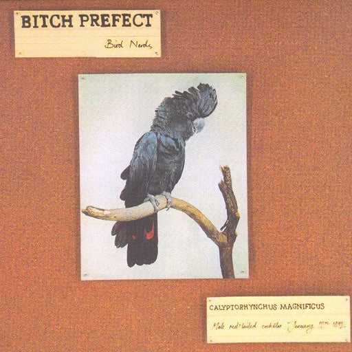 Bird Nerds – Bitch Prefect (LP, Vinyl Record Album)