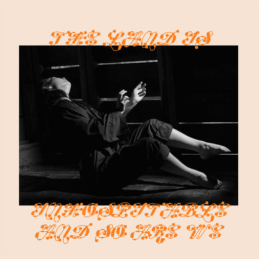 Mitski – The Land Is Inhospitable And So Are We LP vinyl record, image 1 of 3