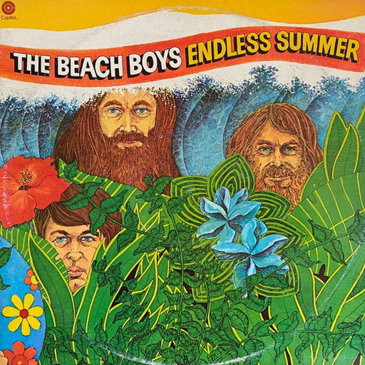 The Beach Boys – Endless Summer (LP, Vinyl Record Album)
