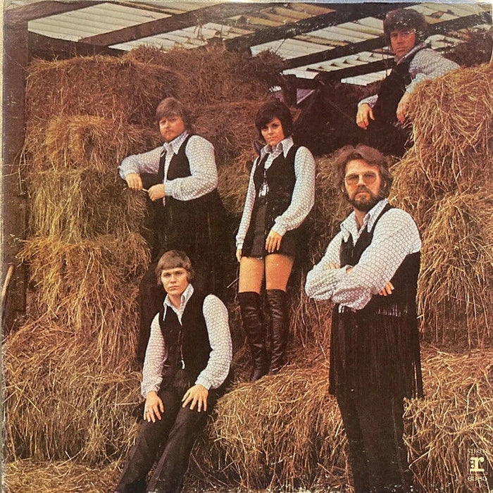 Kenny Rogers & The First Edition – Something's Burning (LP, Vinyl Record Album)