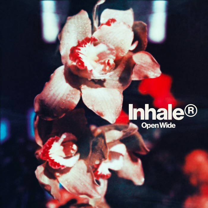 Inhaler – Open Wide (LP, Vinyl Record Album)