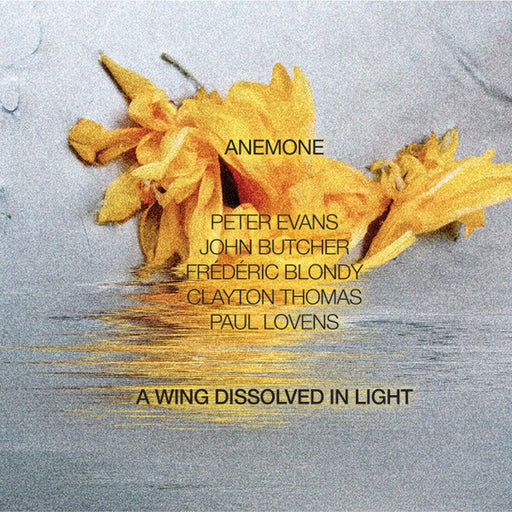 Anemone – A Wing Dissolved In Light (LP, Vinyl Record Album)