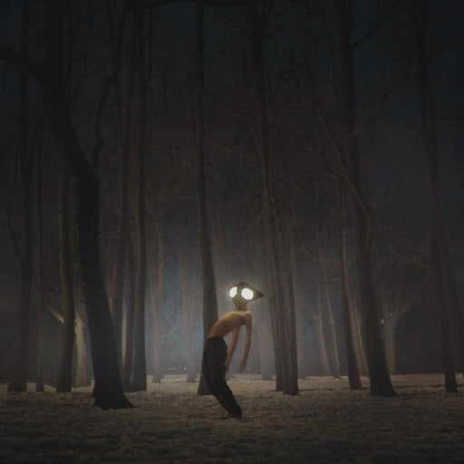 Geese – Projector - Image 1