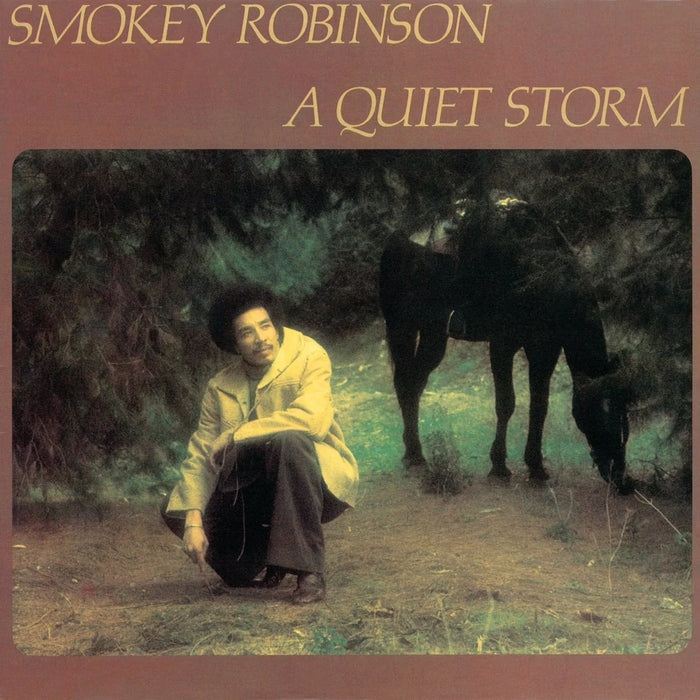 Smokey Robinson – A Quiet Storm (LP, Vinyl Record Album)