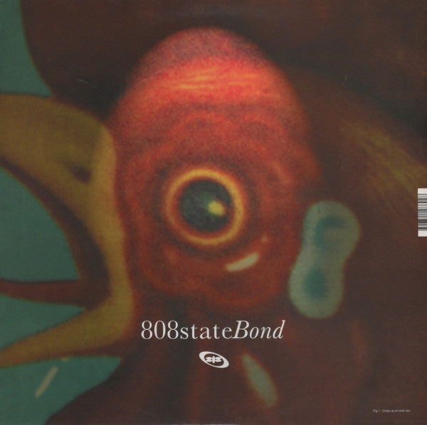 808 State – Bond