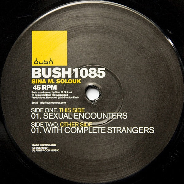 Sina Morshed Solouk – Sexual Encounters