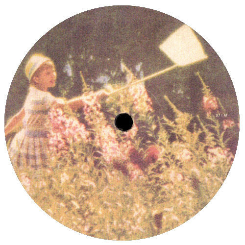 New Phunk Theory – Honey Falls 12" vinyl record, image 2 of 2